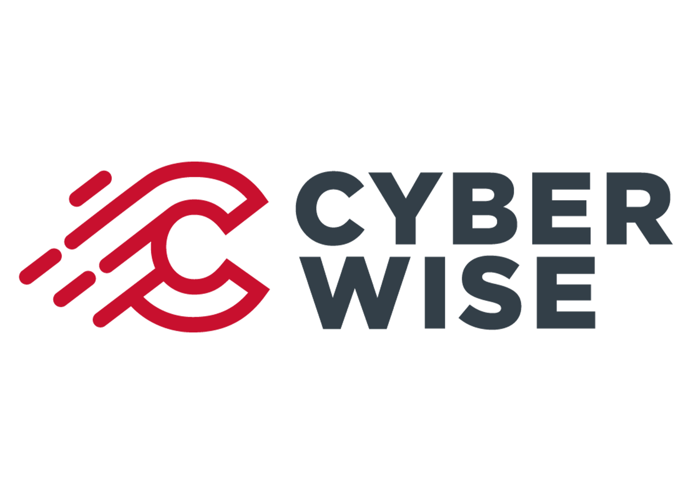 bilgi-guvenligi-cyberwise-renkli